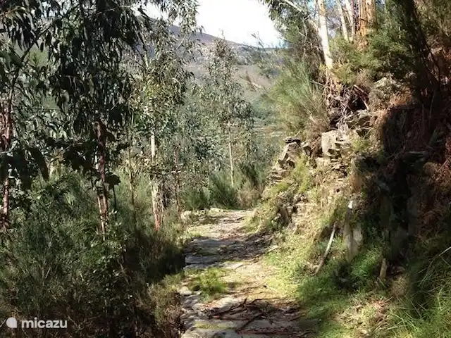 Foz dos Barreiros | Portugal, Coimbra, Piódão - gîte / cottage Sentiers de randonnée
