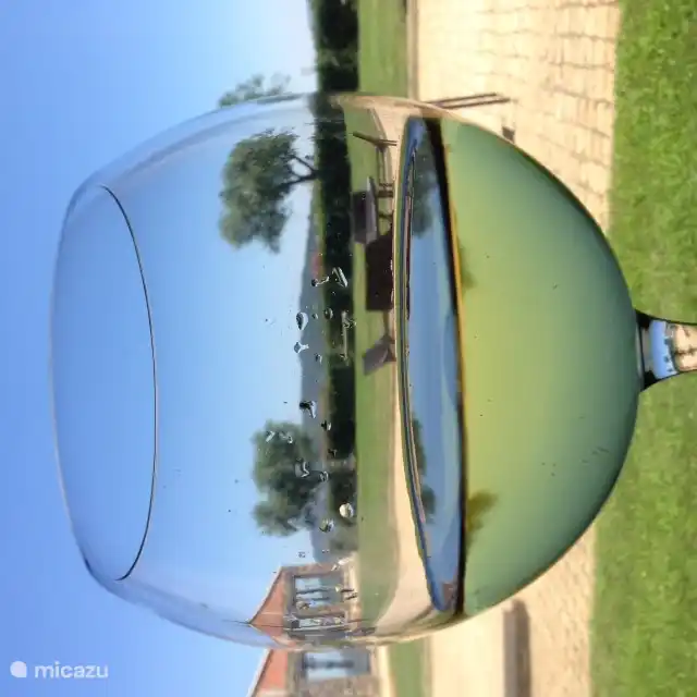 Vineyard Quinta de São Tiago (50 min drive to Dominguiso next Covilha).