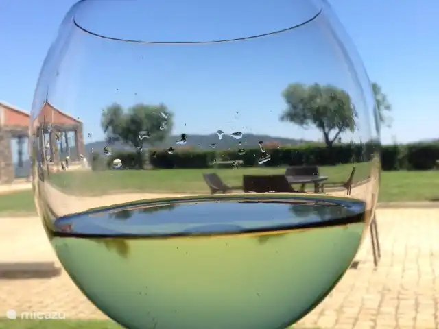 Foz dos Barreiros | Portugal, Coimbra, Piódão - gîte / cottage Vignoble Quinta de São Tiago (50 min en voiture, Dominguiso à côté de Covilhã).