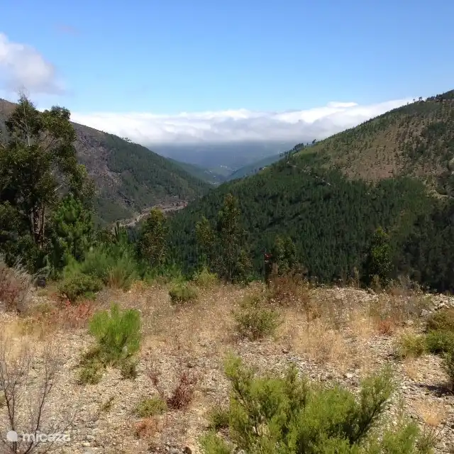 View from mountain hike.