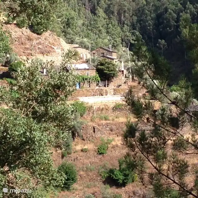 Location of the house and pool on the slope.