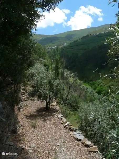 The view to the neighboring and higher situated village of Chãs de Égua
