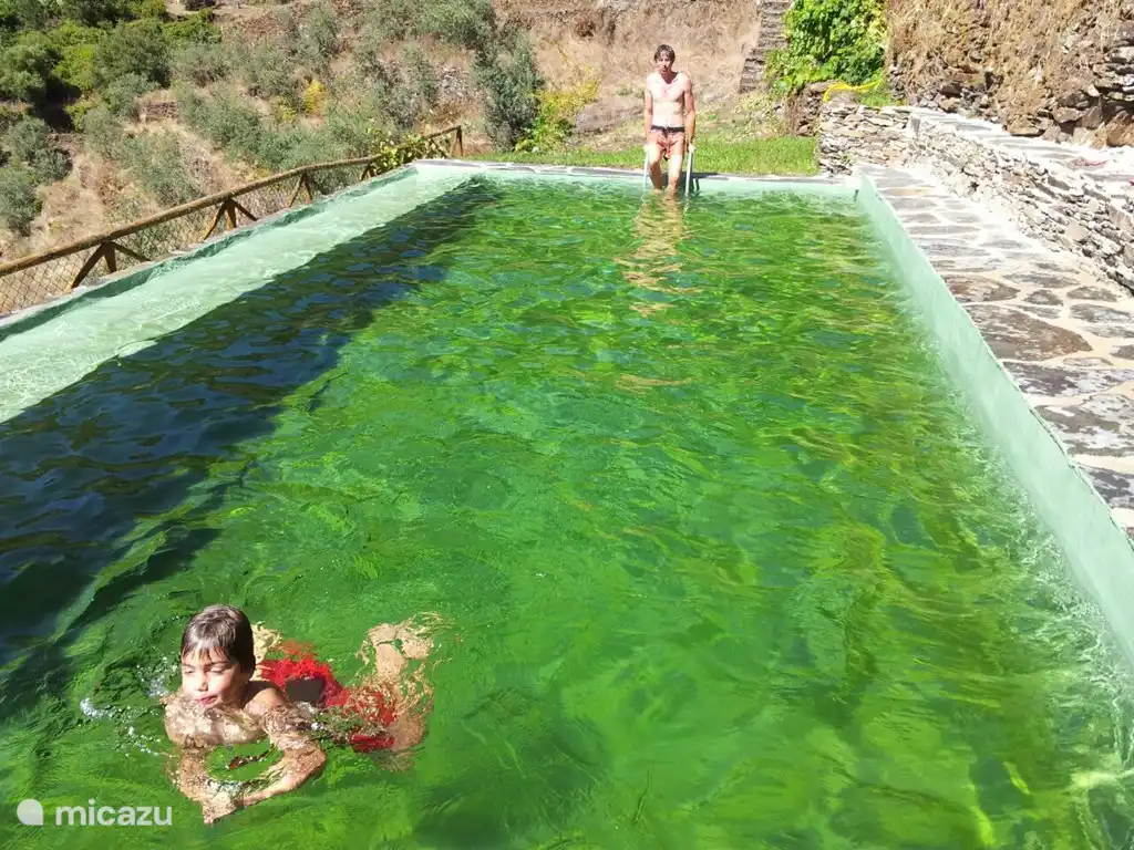 Groot plezier voor zowel jong als oud!