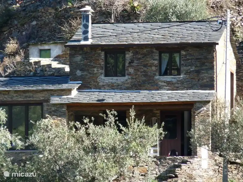 Facade of house that is surrounded by olive trees.