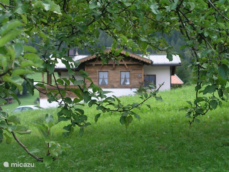 Holiday home in Austria, Tyrol, Sautens Holiday house Seppl's Ferienhaus