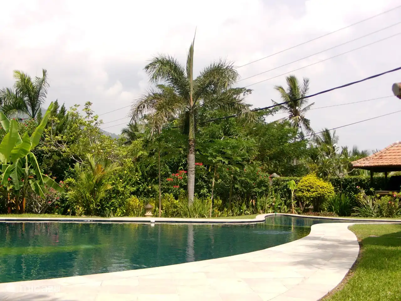 Hinter der Villa und in der Nähe des Pools stehen Obstbäume.
Zu verschiedenen Jahreszeiten finden Sie verschiedene Obstsorten, die Sie verwenden können. Das Personal bereitet das Obst gerne für Sie zu.