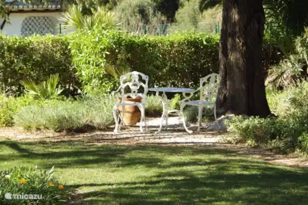 Vakantiehuis Portugal, Algarve, Portimão villa Casa Prince 4208/AL Voortuin met zitje