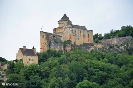 Vakantiehuis Frankrijk, Dordogne, Vézac vakantiehuis Edna Edna