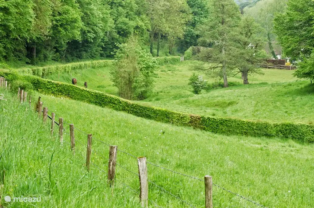 Beau paysage vallonné avec de beaux sentiers de randonnée depuis le parc. N'oubliez pas vos chaussures de randonnée !