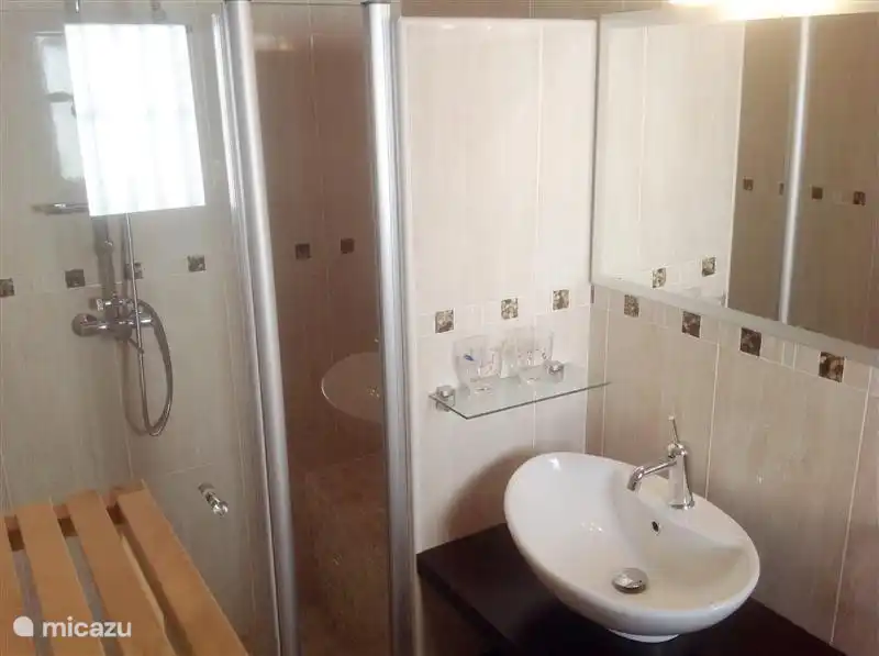 Washbasin and luxury shower on the left.