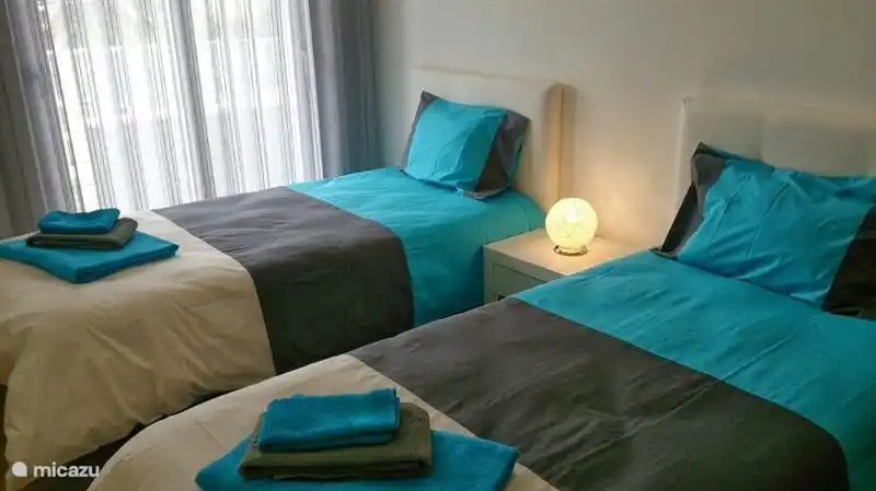 Room with 2 single beds and large closet.