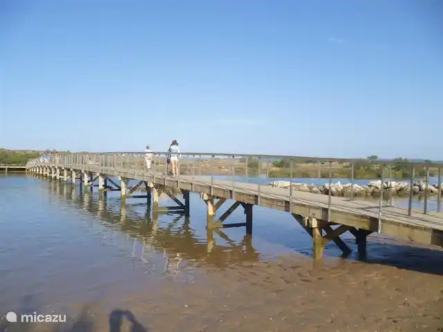 Location de Vacances Portugal, Costa de Prata, São Martinho do Porto, appartement - Appartement - Sao Martinho do Porto Lagon avec sentier de randonnée