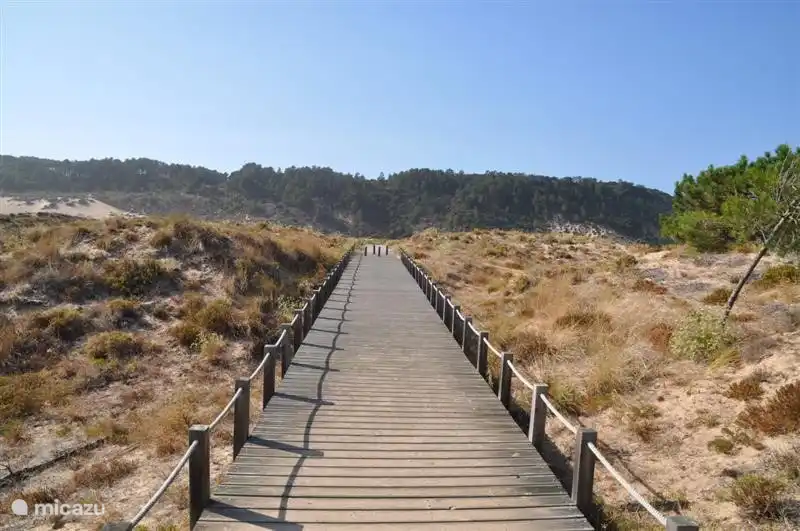 Nature domain with hiking trail