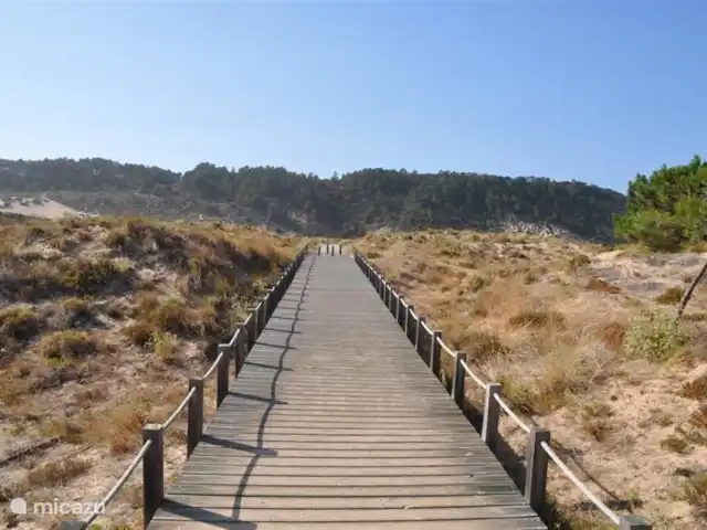 Location de Vacances Portugal, Costa de Prata, São Martinho do Porto, appartement - Appartement - Sao Martinho do Porto Réserve naturelle avec sentier pédestre