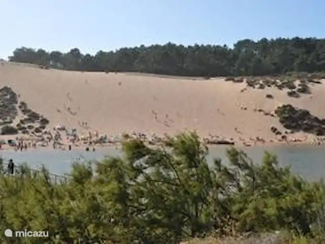 Location de Vacances Portugal, Costa de Prata, São Martinho do Porto, appartement - Appartement - Sao Martinho do Porto Les dunes