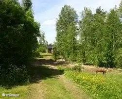 Access to the property