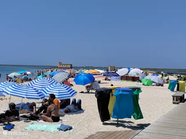 Algarve Fuseta | Portugal, Algarve, Fuzeta - appartement