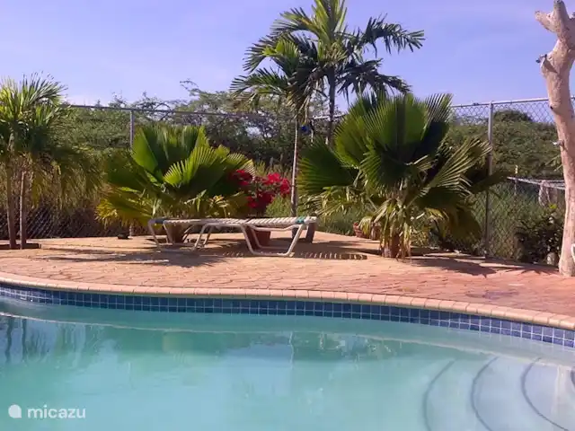 Kunuku Abou-B | Curaçao, Banda Abou (ouest), Daniel - appartement Piscine