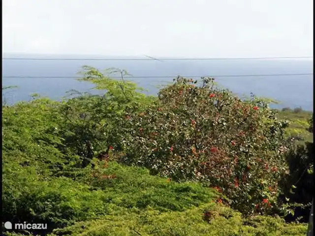 Kunuku Abou-B | Curaçao, Banda Abou (ouest), Daniel - appartement Vue nord de face.