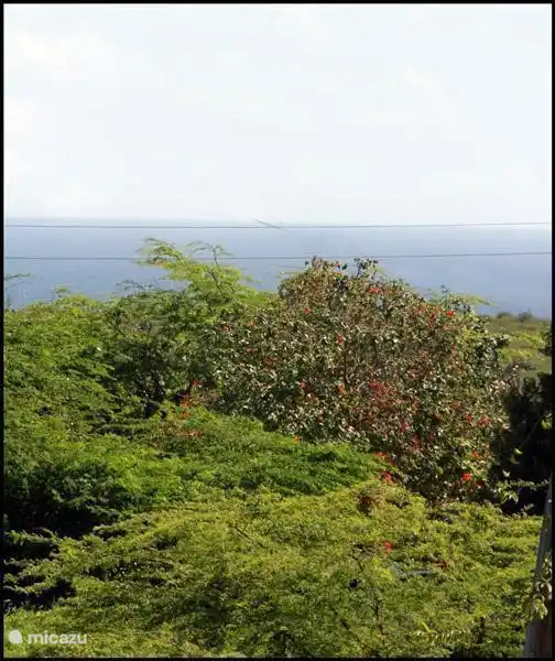 Kunuku Abou in Curaçao, Banda Abou (West), Daniël - Apartment