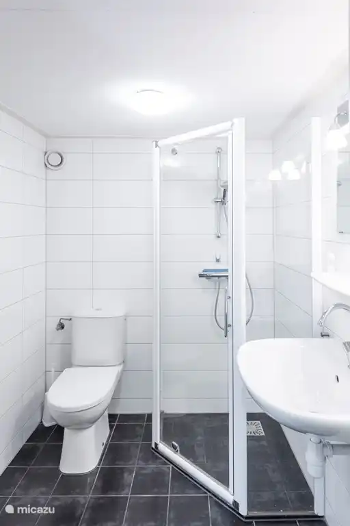 Inrichting van de badkamer boven