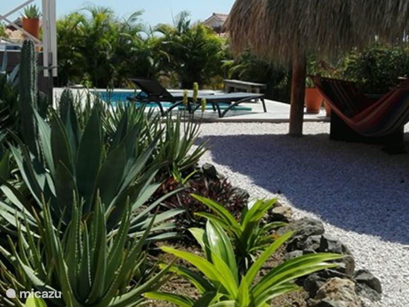 Vakantiehuis Curaçao, Banda Abou (west), Fontein Villa Soño Karibe met zwembad en privacy