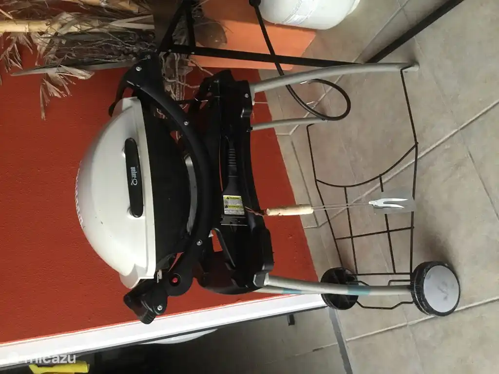 Delicious barbeque on the gas barbeque of Weber