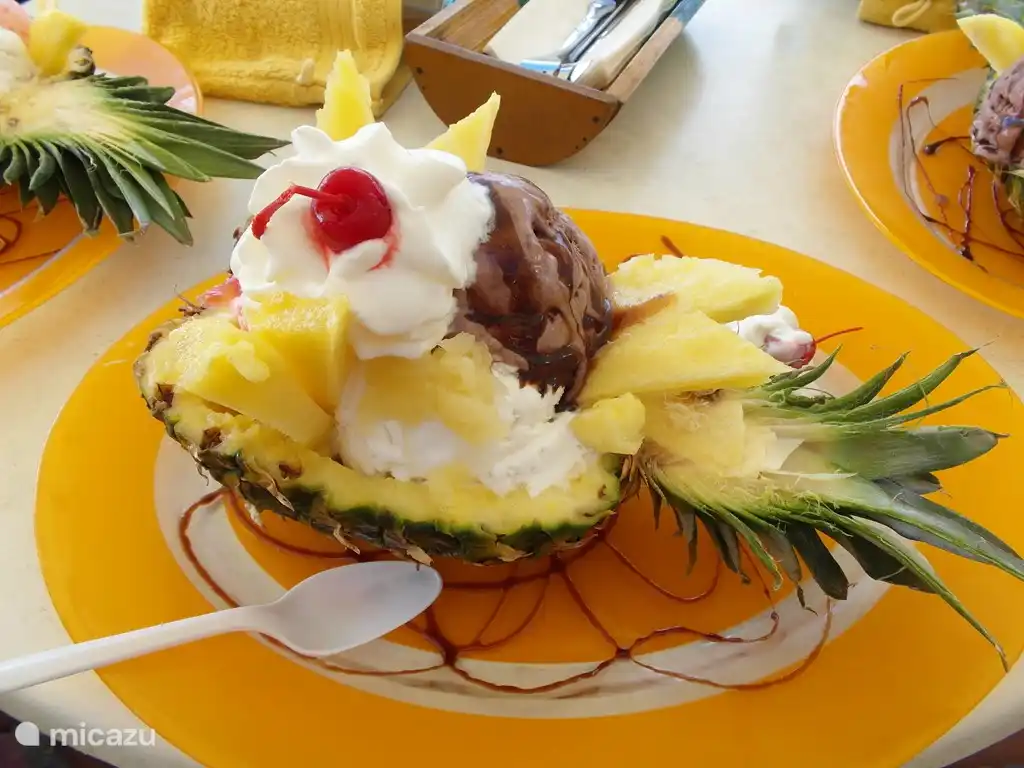 Delicious ice cream on the Handelskade at Iguana!