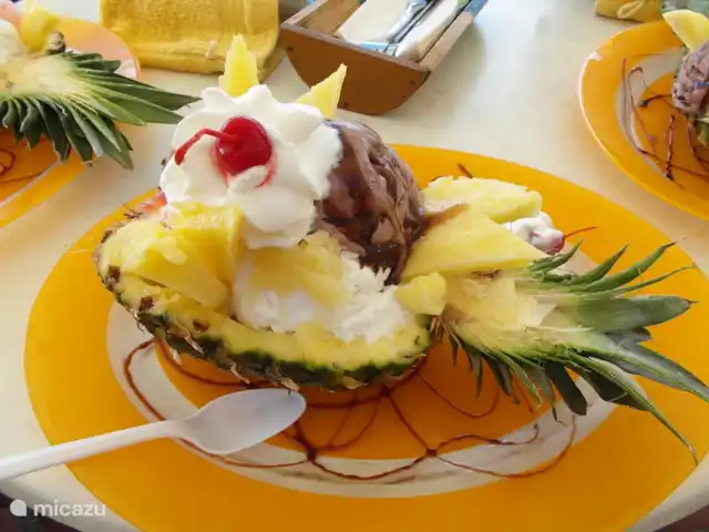 Soño Karibe avec piscine et intimité | Curaçao, Banda Abou (ouest), Fontein - villa De délicieuses glaces sur la Handelskade à Iguana !