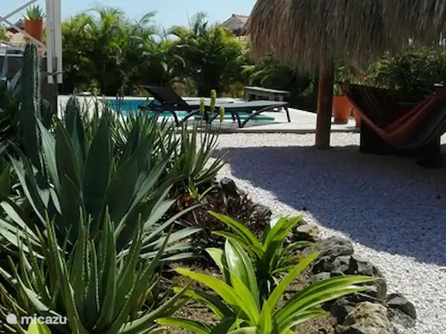 Soño Karibe avec piscine et intimité | Curaçao, Banda Abou (ouest), Fontein - villa Beau jardin tropical