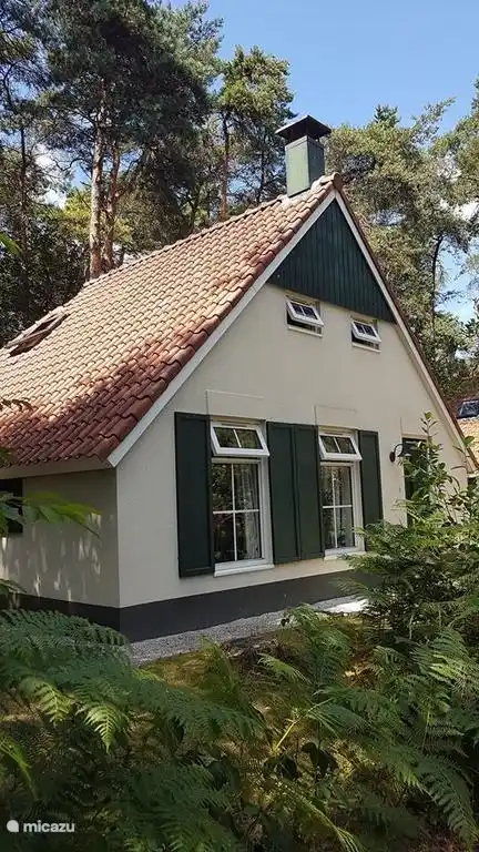ferienhaus, IJhorst, Overijssel, Niederlande - Villa Buntspecht