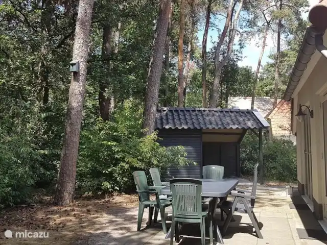 Villa Carpintero manchado en Países Bajos, Overijssel, IJhorst - casa vacacional jardín
