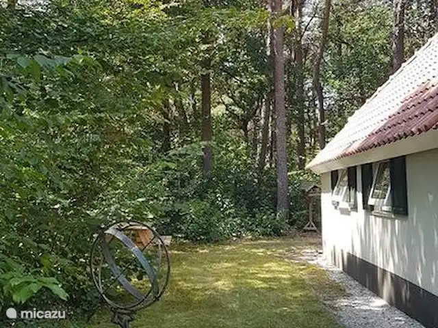 Villa Carpintero manchado en Países Bajos, Overijssel, IJhorst - casa vacacional jardín