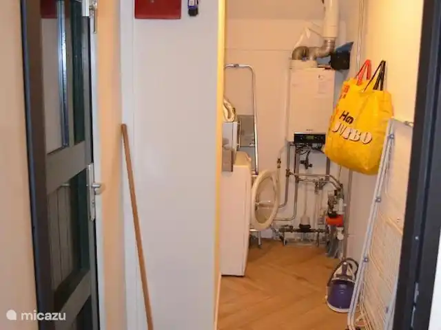 Villa Carpintero manchado en Países Bajos, Overijssel, IJhorst - casa vacacional