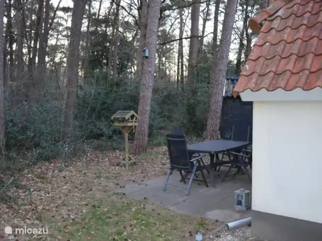 Villa Carpintero manchado en Países Bajos, Overijssel, IJhorst - casa vacacional