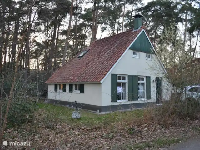 Villa Carpintero manchado en Países Bajos, Overijssel, IJhorst - casa vacacional