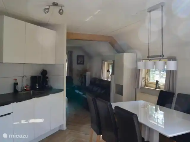 Villa Carpintero manchado en Países Bajos, Overijssel, IJhorst - casa vacacional