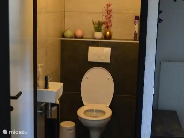 Villa Carpintero manchado en Países Bajos, Overijssel, IJhorst - casa vacacional