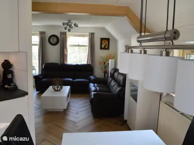 Villa Carpintero manchado en Países Bajos, Overijssel, IJhorst - casa vacacional
