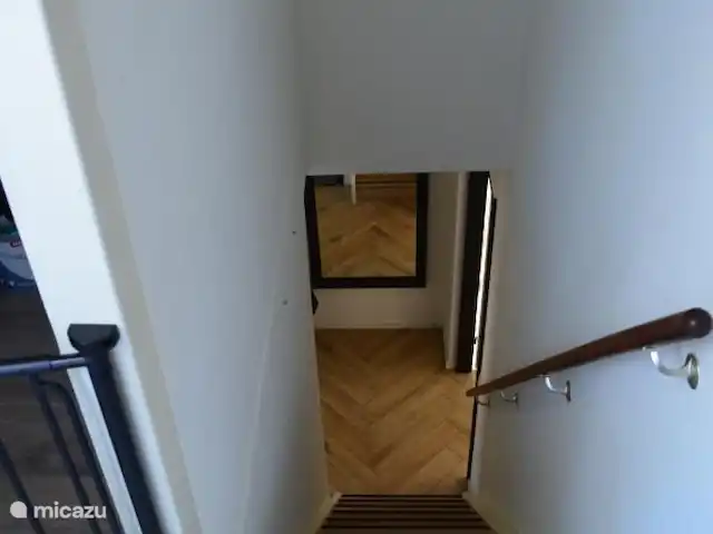 Villa Carpintero manchado en Países Bajos, Overijssel, IJhorst - casa vacacional