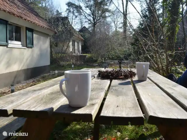 Villa Carpintero manchado en Países Bajos, Overijssel, IJhorst - casa vacacional