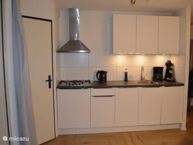 Villa Carpintero manchado en Países Bajos, Overijssel, IJhorst - casa vacacional