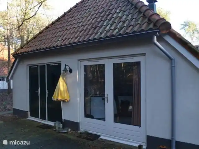 Villa Carpintero manchado en Países Bajos, Overijssel, IJhorst - casa vacacional