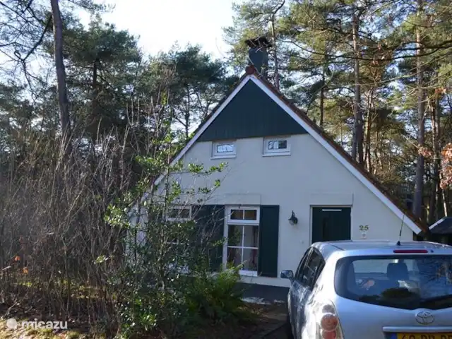 Villa Carpintero manchado en Países Bajos, Overijssel, IJhorst - casa vacacional afuera