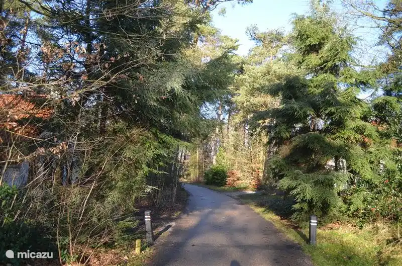 weg für das Ferienhaus