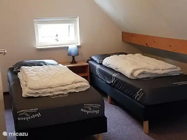 Villa Carpintero manchado en Países Bajos, Overijssel, IJhorst - casa vacacional dormitorio