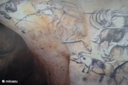 Grotte Chauvet ou Caverne du Pont d'Arc