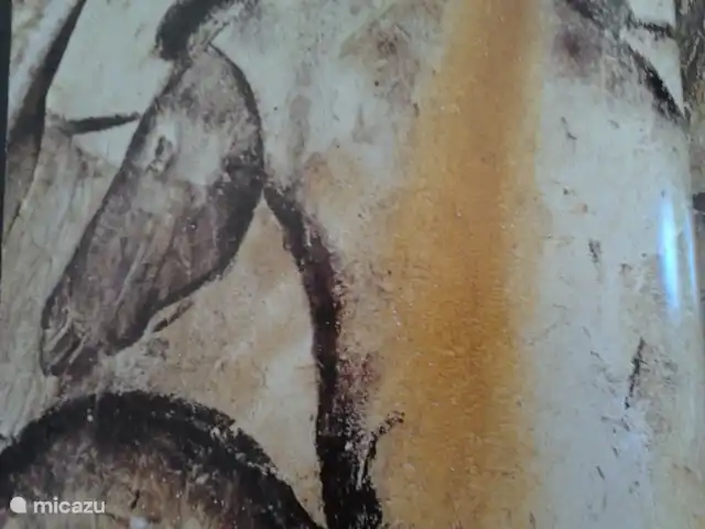 villa huren in Frankrijk, Ardèche, Vallon-Pont-d'Arc – Villa Marron 47 De Caverne bij Vallon Pont d'Arc, ook bekend as de replica van de grotte Chauvet zijn prachtige rotstekeningen te zien van bewoners van 38000 jaar terug.