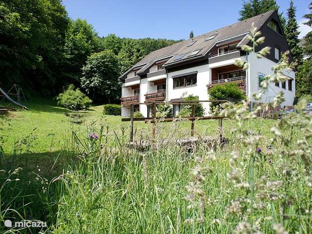 Holiday home in Germany – apartment Hochsauerland Elpe Flussblick