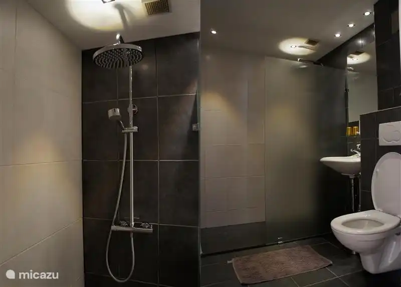 Luxury bathroom with walk-in rain shower.